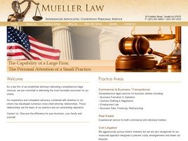 Mueller Law Group